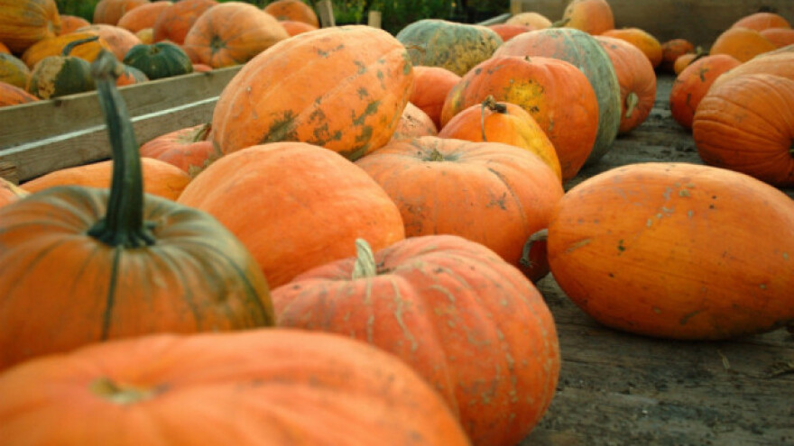 Uljana tikva - slovenski adut