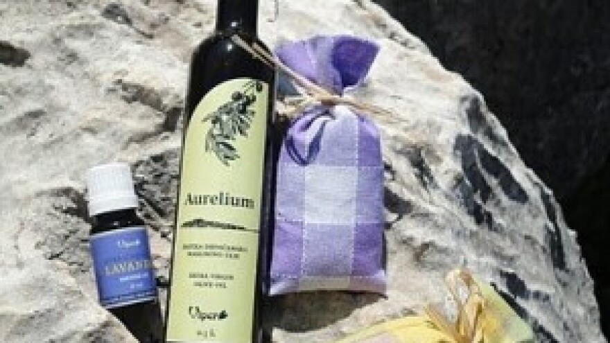 Najveća uljara u Dalmaciji - 2800 kilograma maslina na sat