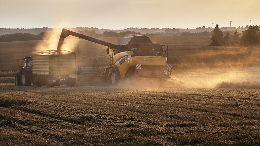 Europska unija: Proizvodnja uljarica u porastu ove sezone, ali se sljedeće očekuje pad potrošnje