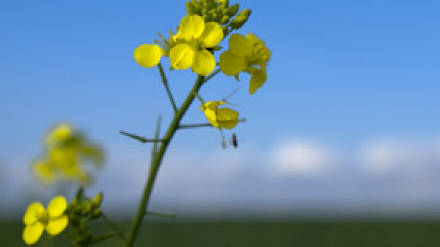 Poljoprivrednici žele u Gospodarsko-socijalno vijeće