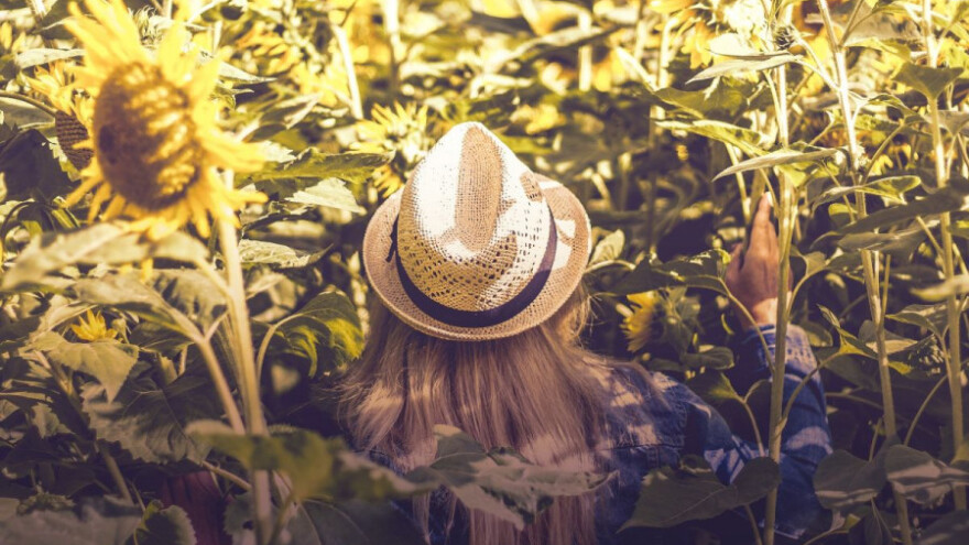 Novi modeli finansiranja proizvodnje uljarica