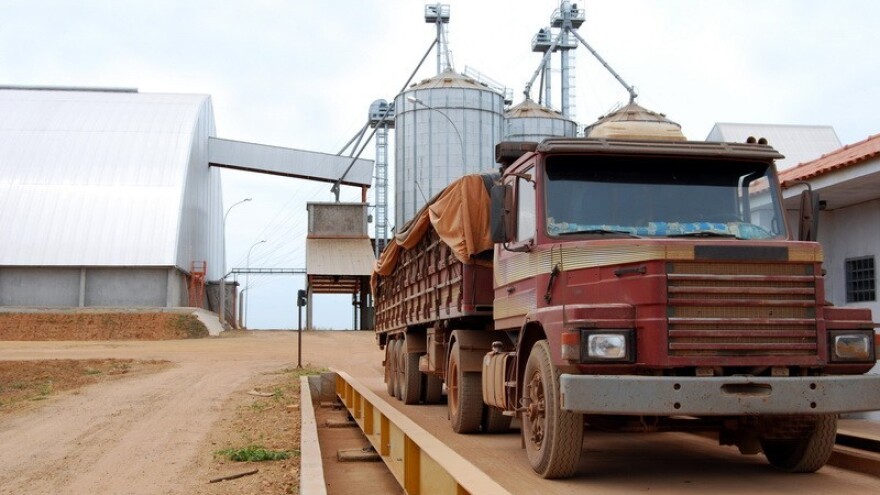 Uljarice nakon suše i kiše