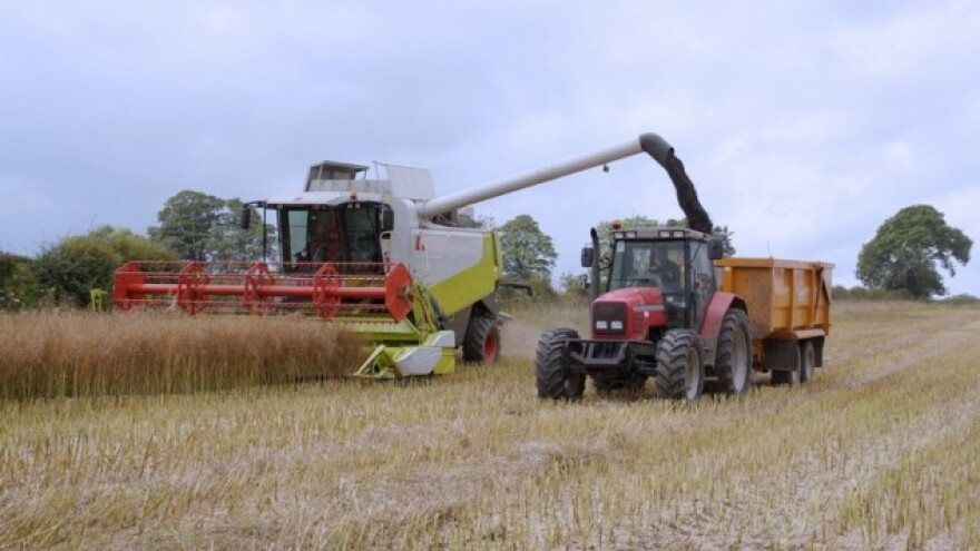 Pada vrijednost budućnosnica žitarica i uljarica