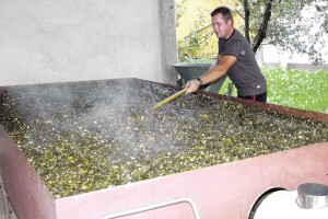 Prva kušaona ulja u Međimurju!
