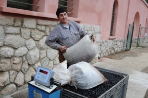 Zaštićeno Cresko ulje i Neretvanska mandarina!