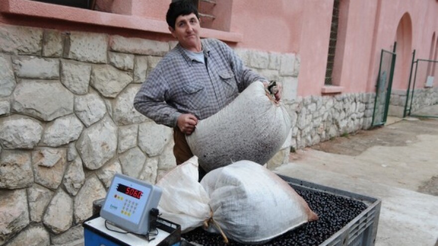 Zaštićeno Cresko ulje i Neretvanska mandarina!