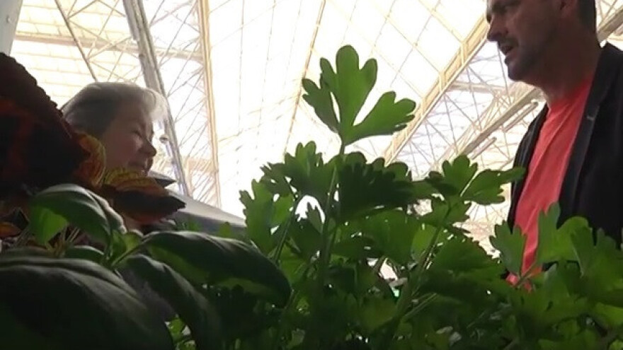 Otkrijte dobrobiti začinskog bilja