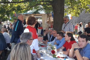 Na 11. Međunarodnom dunavskom festivalu u Ulmu predstavili potencijale Vukovarsko-srijemske županije