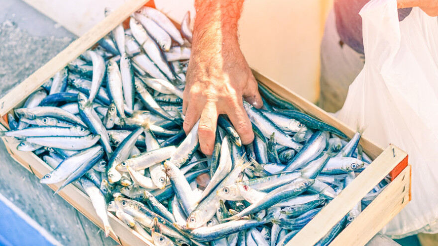 U ribolov na srdele do Badnjaka, onda slijedi zabrana