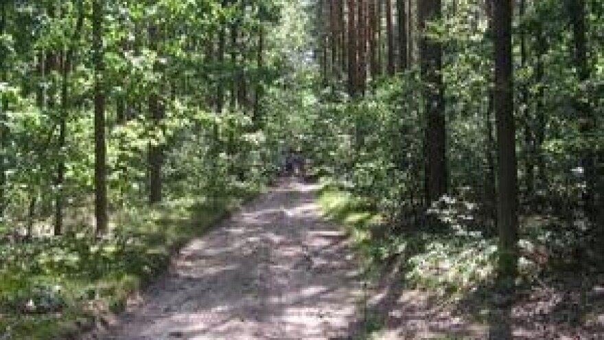 Izvozni potencijal drvne industrije