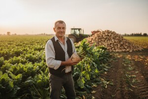 Umjesto 250, za tonu repe 300 kuna!!