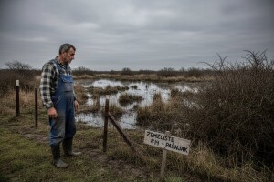Umjesto livada - dobio ribnjak i šikare!