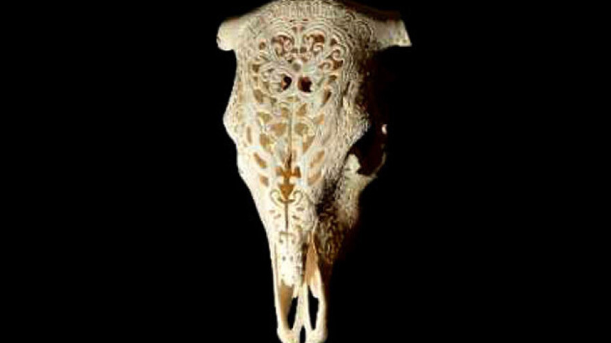 Novi život kroz skulpture i kartonski namještaj