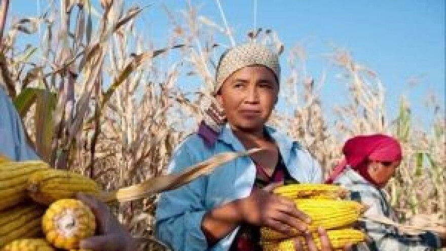 Mala gospodarstva temelj poljoprivrede