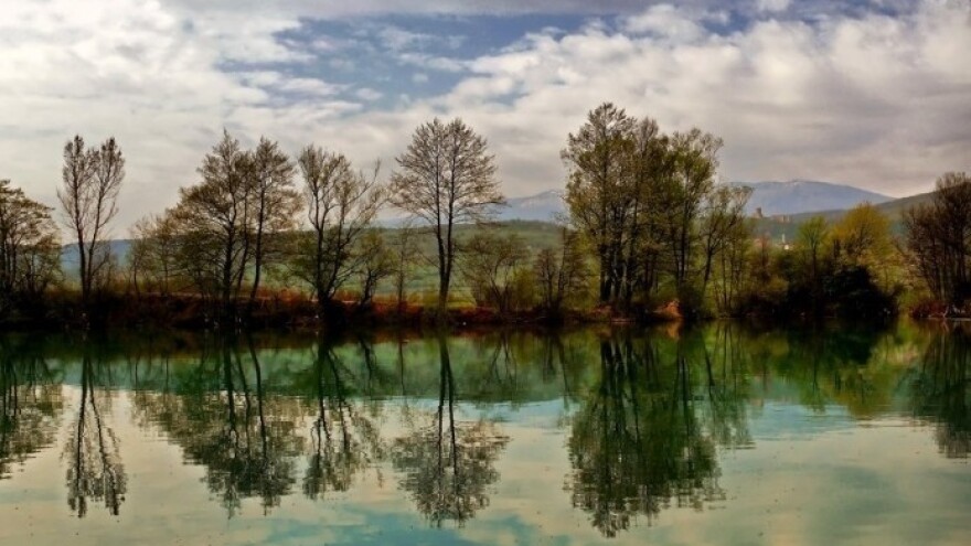 Šumsko-vegetacijske zajednice kanjonskog toka