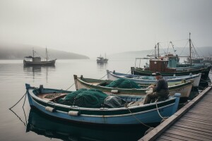 Unatoč lovostaju bit će i jeftinije ribe?