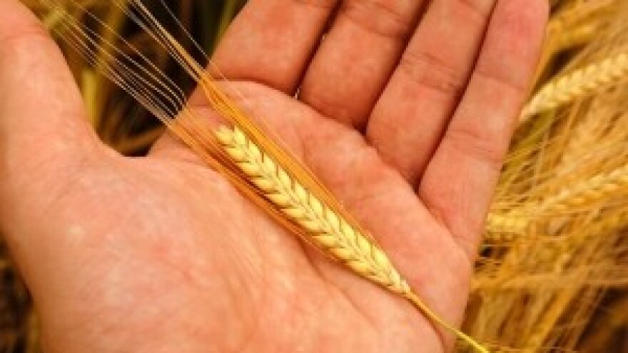 Mora biti efikasnije i s manje birokracije