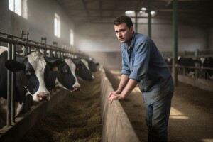 Uništen farmer zbog sporosti Ministarstva poljoprivrede