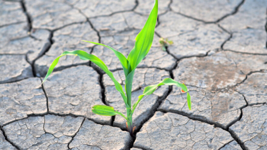 Od plodne ravnice ka pustinji