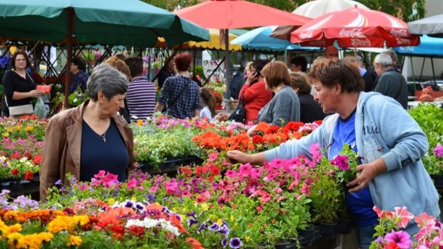Uz certifikate povećali prodaju na tržnici!