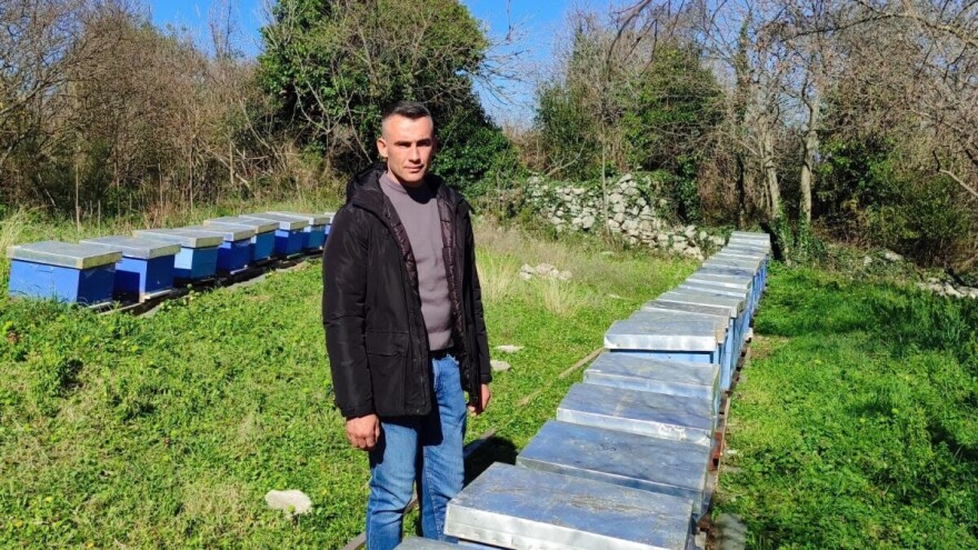 Nikola je prvi proizvođač pčelinjeg otrova u BiH: Kilogram košta 40.000 KM, otkup ugovoren