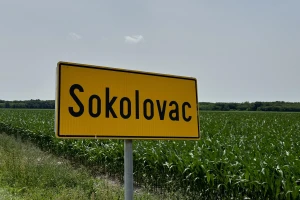 Afrička svinjska kuga i na farmi u sastavu Belja?