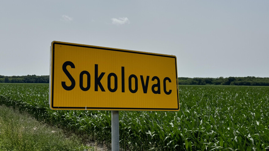 Afrička svinjska kuga i na farmi u sastavu Belja?