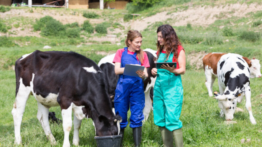 Povezivanjem institucija do razvoja stočarstva