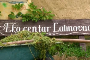 Primjer uspješnog ruralnog razvoja: u selo Latinovac dolaze mladi iz cijele Europe