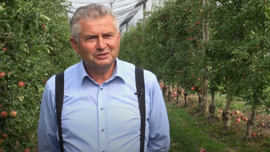 Marijan Aladrović: Idared najmanje zahtjevan za uzgoj, a jonagold ima najbolji okus