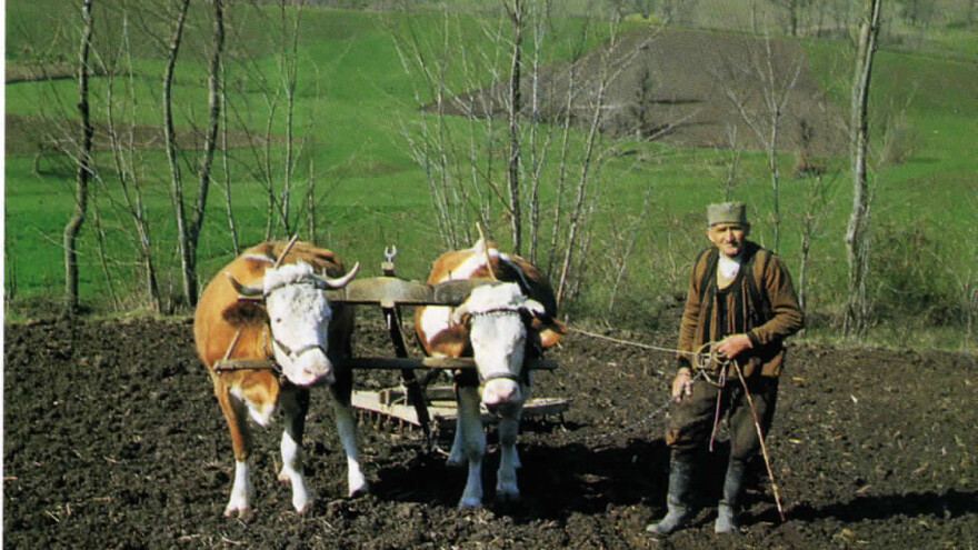 Klik za restart - da li treba da se vratimo na ralo i volove?