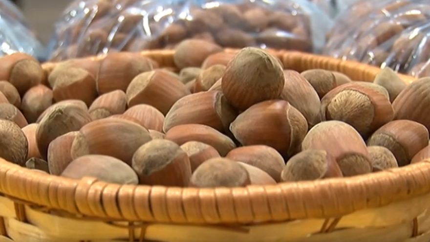 Matko Grladinović: Lani je lješnjake uništio mraz, ova je godina bila iznimno dobra