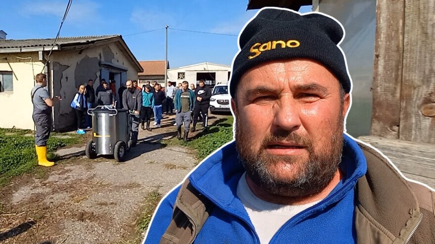 Stiglo "vime na točkovima" u PD Semberija: Teladima mlijeko isporučuje milk taksi