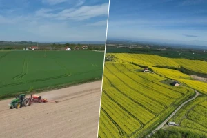 "Agro invest grupa BiH" strnim žitima zasijaće 1.750 hektara