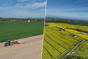 "Agro invest grupa BiH" strnim žitima zasijaće 1.750 hektara