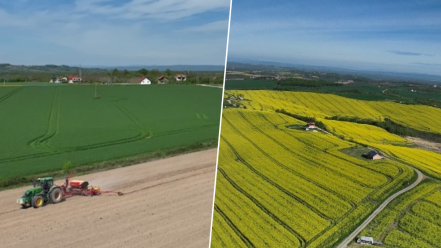"Agro invest grupa BiH" strnim žitima zasijaće 1.750 hektara