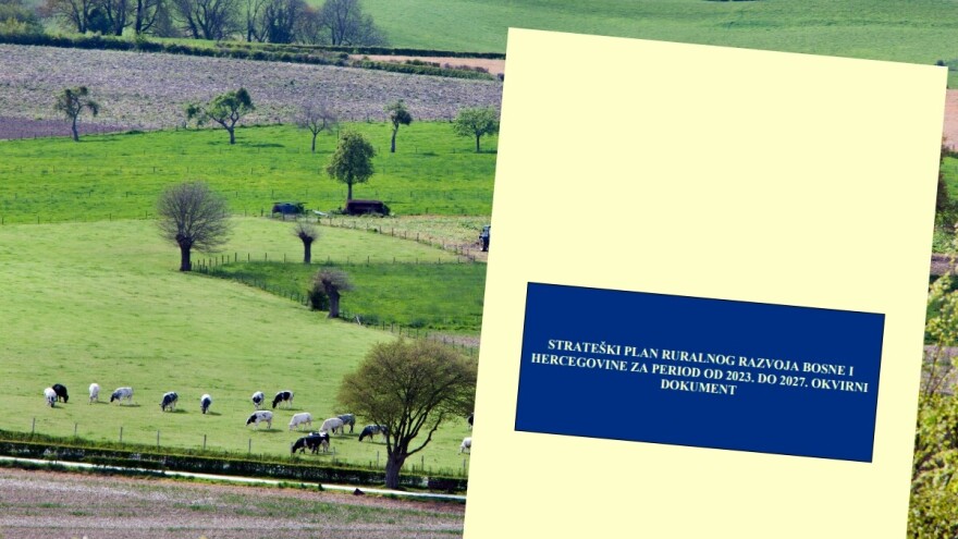 Državna strategija: Dva proizvoda u BiH i dalje će se poticati po količini proizvodnje