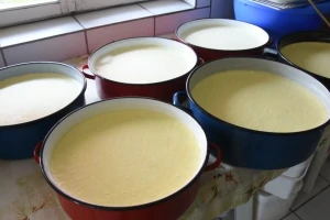 Zdravo je omastiti brk: Umoči u kajmak, mani se crvenih algi