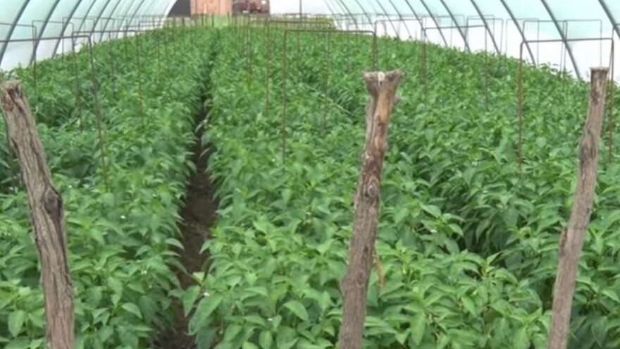 Pančevo: Manje je više