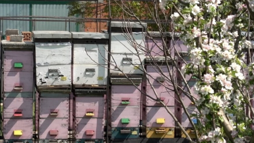 Pčelari dobijaju pogon u Rači!