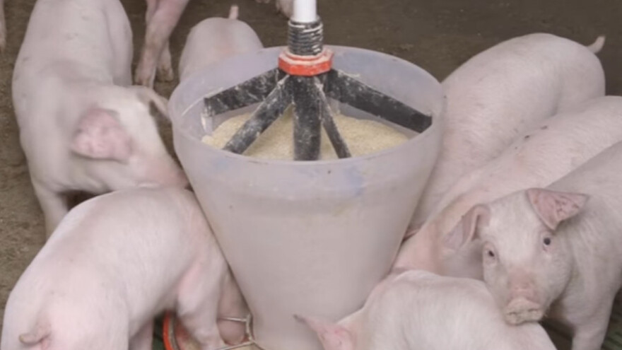 Cena po kilogramu - 165 dinara plus PDV