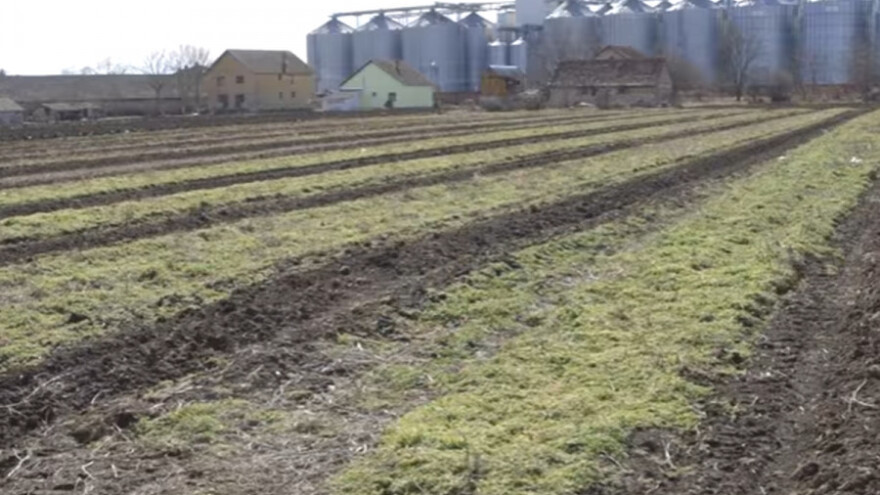 Odlična prodaja povrća iz Zmajeva
