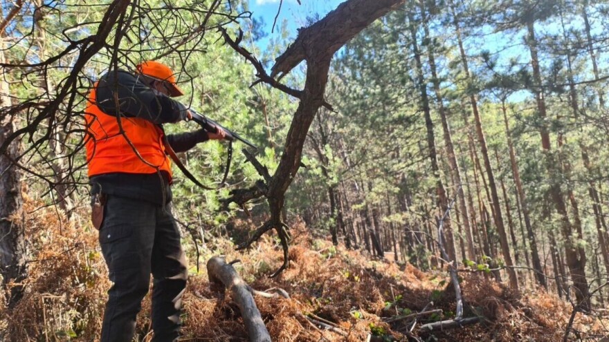 Uočeni vukovi na Ozrenu, ali ne i odstrijeljeni