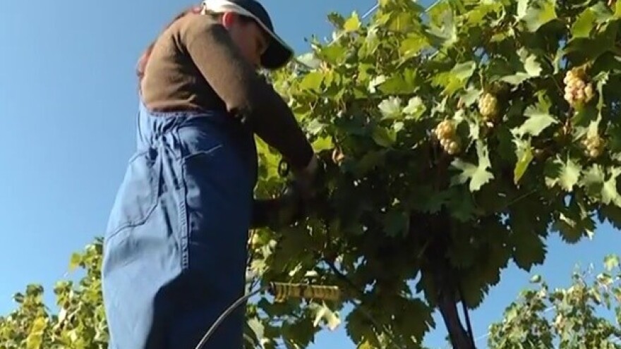 Zelena reciklaža koja je otišla korak - više!