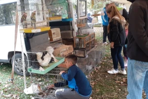 "Jesenja berza sitnih životinja" premašila očekivanja organizatora, ali i posjetilaca