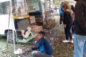 "Jesenja berza sitnih životinja" premašila očekivanja organizatora, ali i posjetilaca