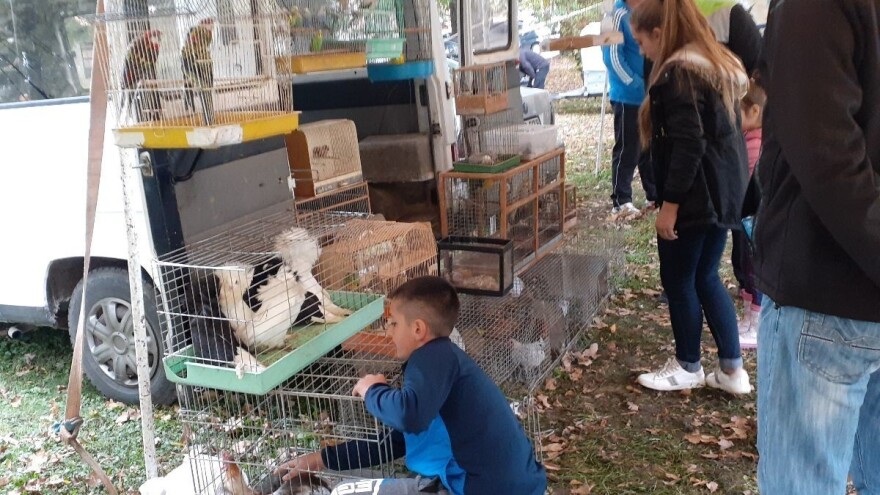 "Jesenja berza sitnih životinja" premašila očekivanja organizatora, ali i posjetilaca