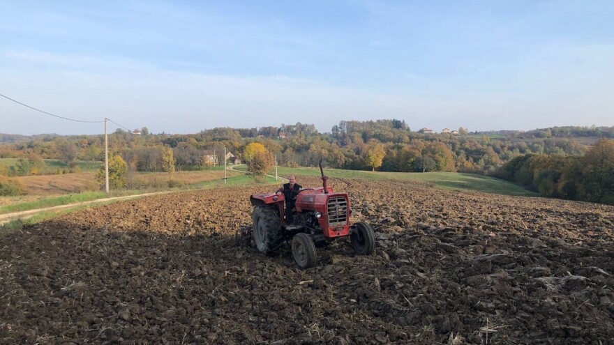 Dragislav nedavno skinuo kukuruz pa pojurio traktorom u polje