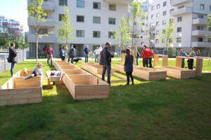 Oko novoizgrađenih stambenih zgrada i novi urbani vrtovi