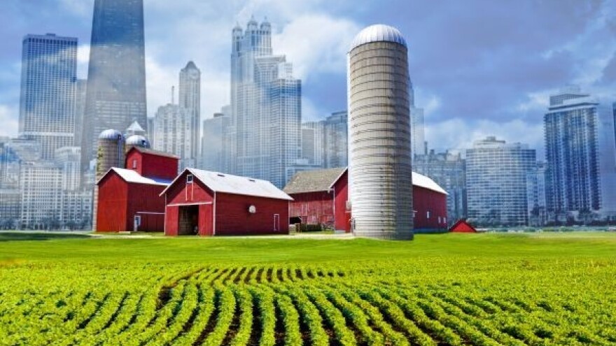 Urbani otpad kao biomasa za poboljšanje tla